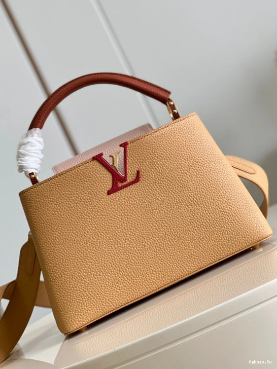 LOUIS VUITTON CAPUCINES MM 0420